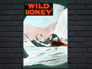 -Wild Honey (2017)-<br>The Original Movie