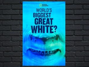 -Worlds Biggest Great White? (2019)-<br>The Original Movie