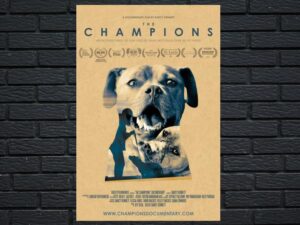 -The Champions (2015)-<br>The Original Movie