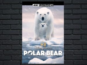 -Polar Bear (2022)-<br>The Original Movie