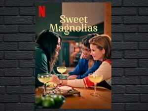 -Sweet Magnolias (2020)-<br>The Complete Series