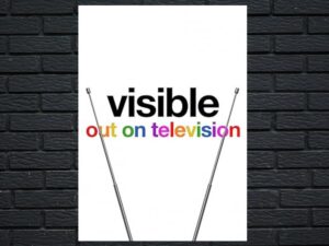 -Visible: Out On Television (2020)-<br>The Complete Series