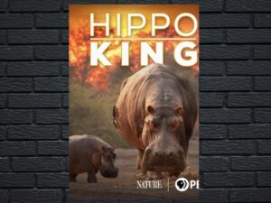 -Nature: Hippo King (2022)-<br>The Original Movie