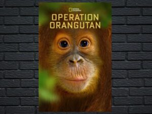 -Operation Orangutan (2015)-<br>The Original Movie