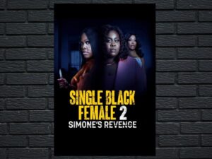 -Single Black Female 2: Simone's Revenge (2024)-<br>The Original Movie