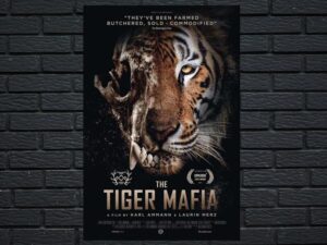 -The Tiger Mafia (2016)-<br>The Original Movie