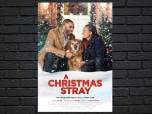 -A Christmas Stray (2021)-<br>The Original Movie