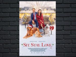 -Sit. Stay. Love The Dog Days Of Christmas (2021)-<br>The Original Movie