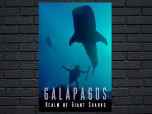 -Galapagos Realm Of Giant Sharks (2012)-<br>The Original Movie