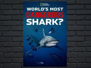 -World's Most Dangerous Shark? (2023)-<br>The Original Movie