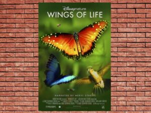 -Disneynature Wings Of Life (2011)-<br>The Original Movie
