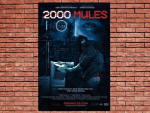 -2000 Mules (2022)-<br>The Original Movie