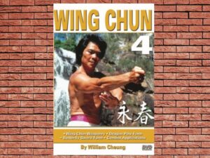 -The Grandmaster The Dragon William Cheung Bruce Lee (2009)-<br>The Original Movie