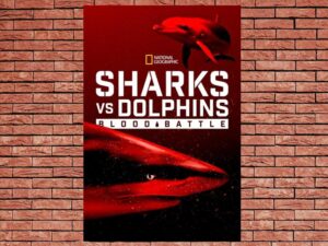 -Sharks vs. Dolphins: Blood Battle (2020)-<br>The Original Movie