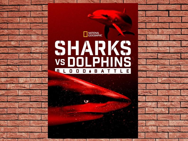 Sharks vs. Dolphins Blood Battle (2020)The Original Movie