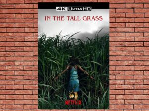 -In the Tall Grass (2019)-<br>The Original Movie