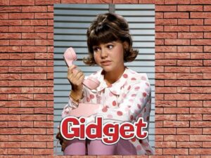 -Gidget (1965)-<br>The Complete Series
