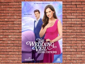 -The Wedding Veil Expectations (2023)-<br>The Original Movie
