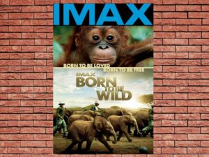 -IMAX Born To Be Wild (2011)-<br>The Original Movie