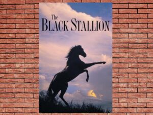-The Black Stallion (1979)-<br>The Original Movie