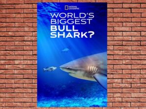 -World's Biggest Bull Shark? (2021)-<br>The Original Movie