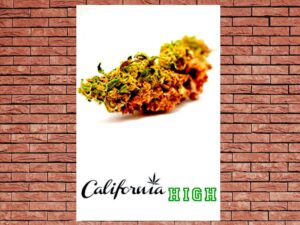 -California High (2015)-<br>The Original Movie