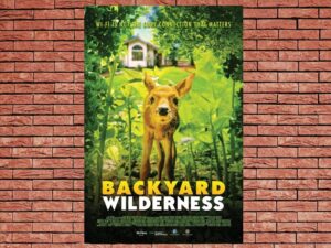 -Backyard Wilderness (2018)-<br>The Original Movie
