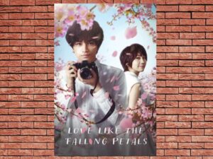 -Love Like the Falling Petals (2022)-<br>The Original Movie