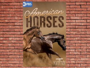 -NATURE American Horses (2022)-<br>The Original Movie