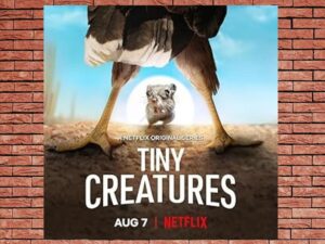 -Tiny Creatures (2020)-<br>The Complete Series