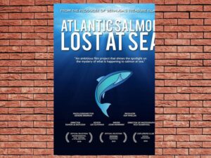 -Atlantic Salmon: Lost At Sea (2018)-<br>The Original Movie