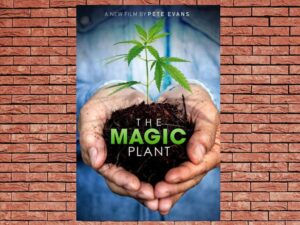-The Magic Plant (2020)-<br>The Original Movie