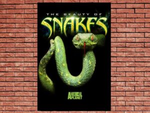 -The Beauty Of Snakes (2003)-<br>The Original Movie