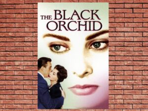 -The Black Orchid (1958)-<br>The Original Movie