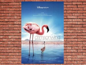 -The Crimson Wing Mystery Of The Flamingos (2008)-<br>The Original Movie