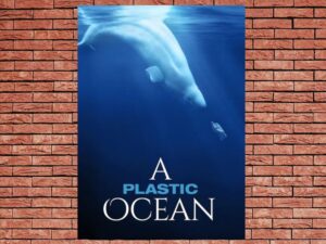 -A Plastic Ocean (2016)-<br>The Original Movie