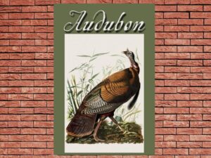 -Audubon (2017)-<br>The Original Movie