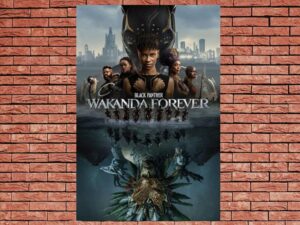 -Black Panther: Wakanda Forever (2022)-<br>The Original Movie