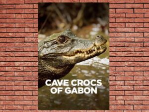 -Cave Crocs of Gabon (2018)-<br>The Original Movie