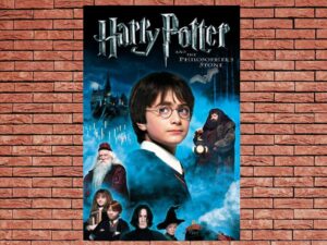 -Harry Potter and the Philosophers Stone (2001)-<br>The Original Movie