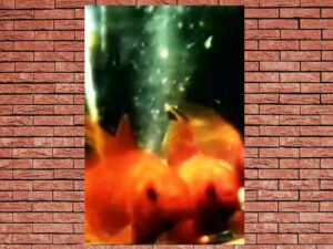 -Headhunters (2011)-<br>The Original Movie