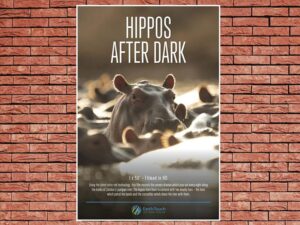 -Hippos After Dark (2015)-<br>The Original Movie