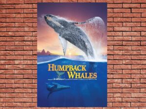 -Humpback Whales (2015)-<br>The Original Movie