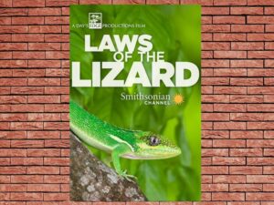 -Laws of the Lizard (2018)-<br>The Original Movie