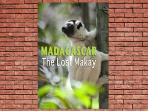 -Madagascar: The Lost Makay (2021)-<br>The Original Movie
