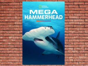 -Mega Hammerhead (2016)-<br>The Original Movie