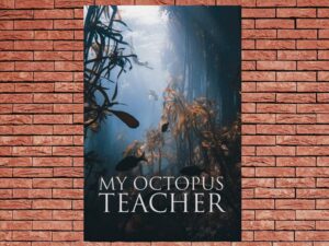 -My Octopus Teacher (SUB) (2020)-<br>The Original Movie