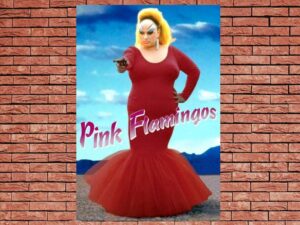 -Pink Flamingos (1972)-<br>The Original Movie
