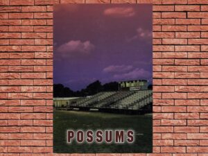 -Possums (1998)-<br>The Original Movie
