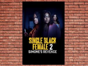 -Single Black Female 2: Simones Revenge (2012)-<br>The Original Movie